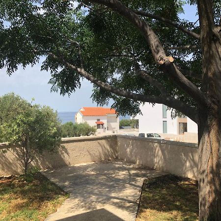 M A Apartments Kožino Kültér fotó